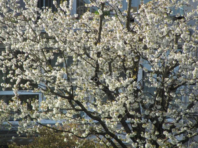 Schöne und große Wohnung. - Sonnig, tolle Aussicht ! - Titelbild