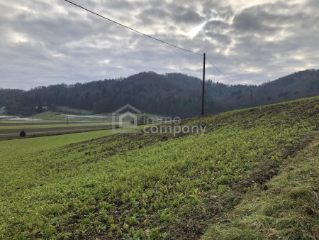 Über 1 ha Grund mit Bauland nahe Jennersdorf