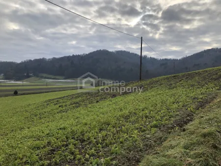 Über 1 ha Grund mit Bauland nahe Jennersdorf