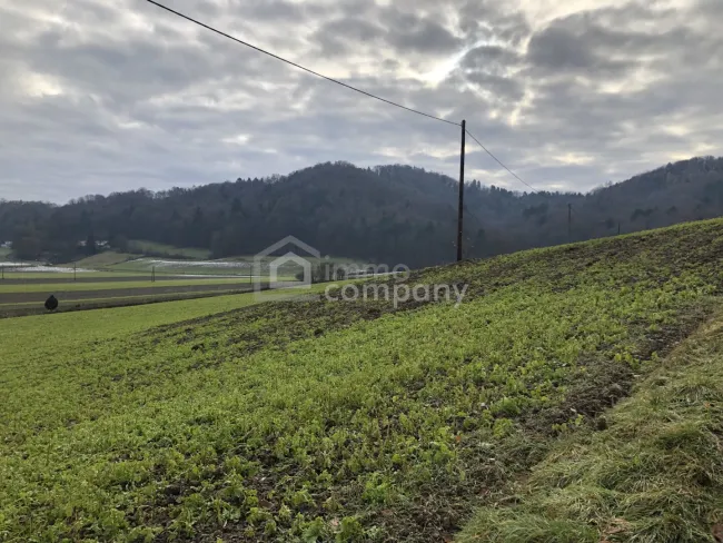 Über 1 ha Grund mit Bauland nahe Jennersdorf - Titelbild