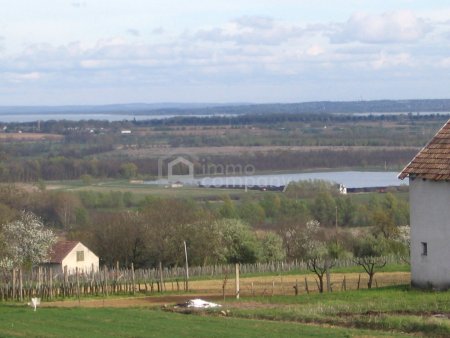 Einmalige Gelegenheit großer Grund mit Bohrrecht Thermalwasser - Unique opportunity to acquire large land near Heviz with drilling rights for thermal water.