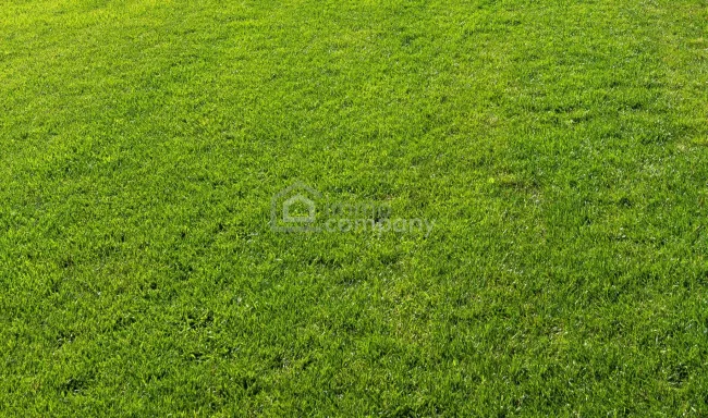 Sonniges Grundstück mit Baubewilligung - Titelbild