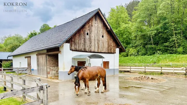 Exklusives Reitanwesen mit 6 Wohneinheiten & Bauland in traumhafter Lage nahe dem Klopeiner See - Titelbild