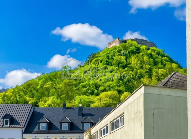 ! Achtung Peissenkung ! -2 Wohneinheiten zum Sensationspreis! - Titelbild