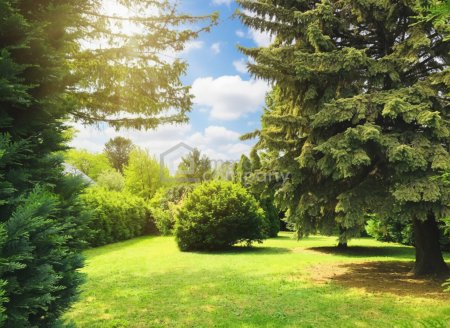 Gartenlust !!!