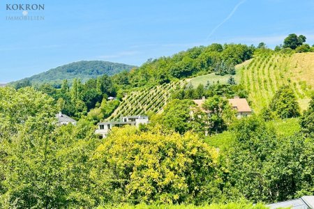 Ausblick
