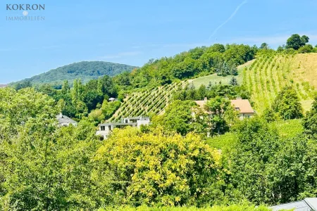 Ausblick