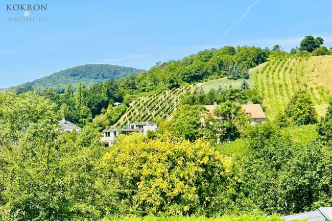 Großes, voll aufgeschlossenes Baugrundstück im Herzen von Grinzing - Bild
