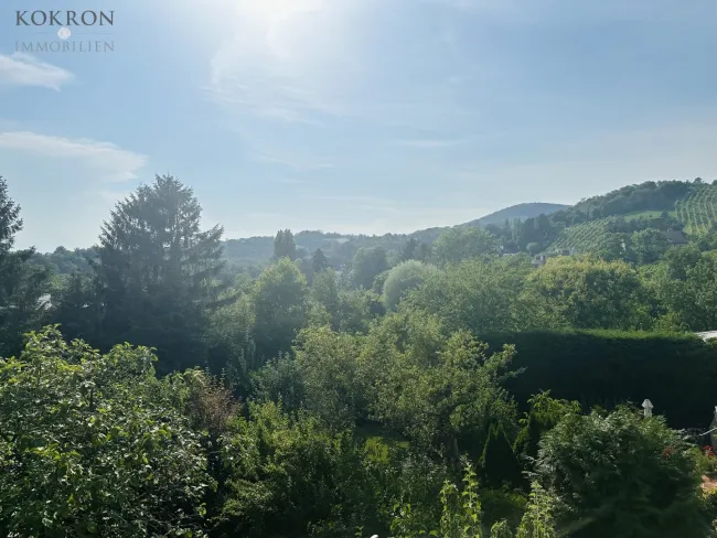 Ausblick