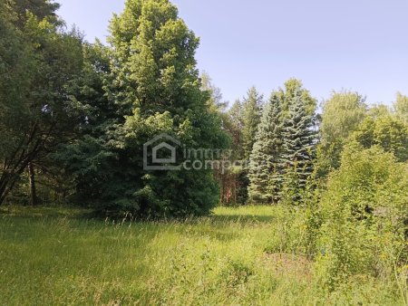 Ihre Gelegenheit! Grundstück in Traumlage mit Waldbestand!