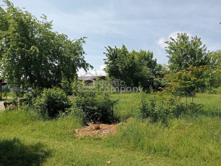 Grundstück am Zicksee im Burgenland