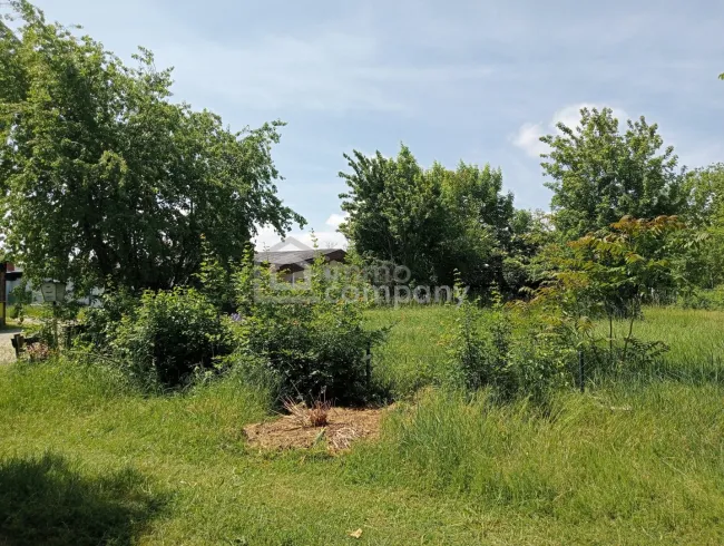 Grundstück am Zicksee im Burgenland - Bild