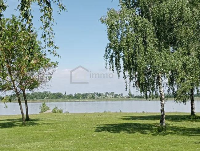 Grundstück am Zicksee im Burgenland - Bild
