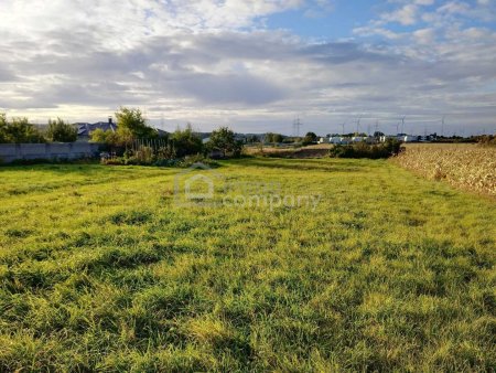 Nachmittags entspannt nach Hause kommen - Blick nach Westen