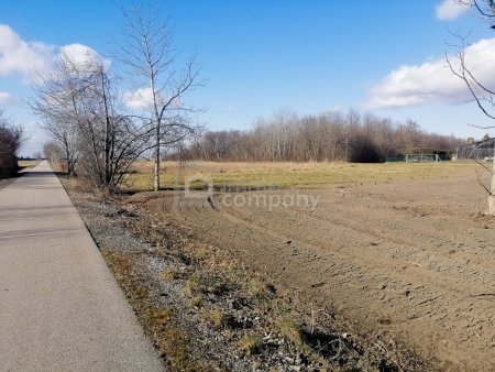 Traumhaftes Baugrundstück in Loimersdorf – 1079 m² für Ihre Zukunft!