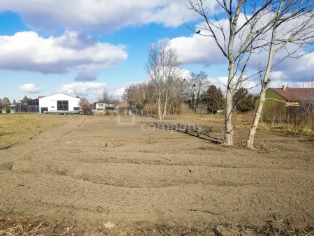 Traumhaftes Baugrundstück in Loimersdorf – 1079 m² für Ihre Zukunft!