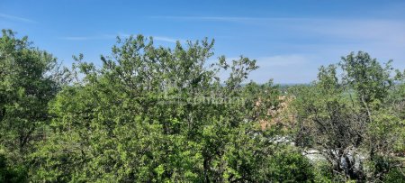 Ferienhaus über den Wolken mit 6 Wohneinheiten, 170m² Wohnfläche und einem großen Garten