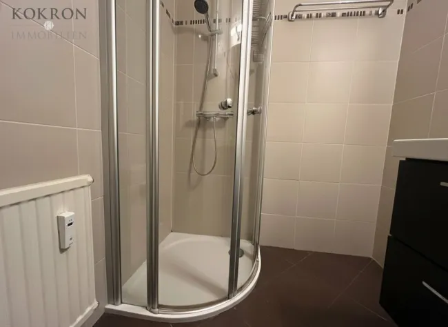 modernes Duschbad