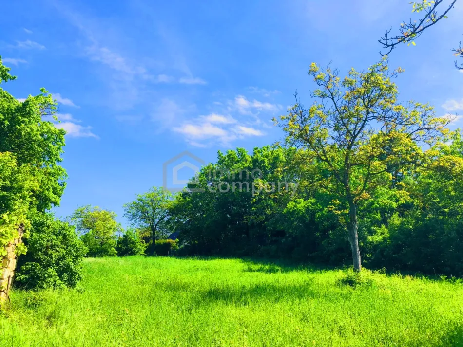 Baugrund gesamt im Paradies - Bild