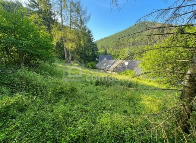VIEL PLATZ – VIEL GARTEN – VIELE MÖGLICHKEITEN AUF EINER EBENE - Titelbild