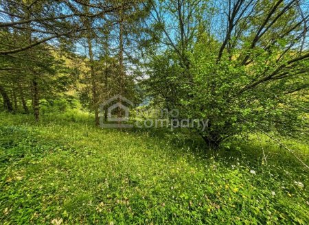 VIEL PLATZ – VIEL GARTEN – VIELE MÖGLICHKEITEN AUF EINER EBENE