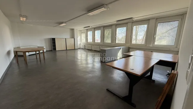 Office Überblick KI