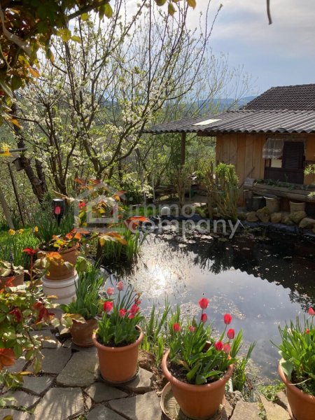 Sanierungsbedürftiger Streckhof mit Potenzial in schöner Höhen-bzw. Aussichtslage