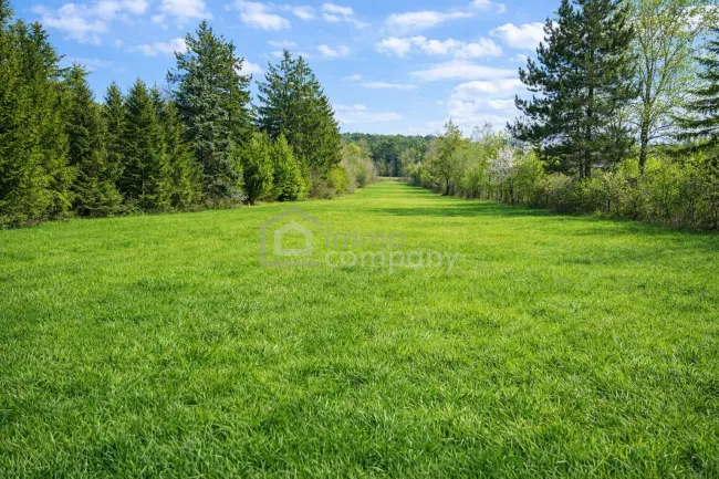 Bodenaufnahme mit Sicht auf das Leithagebirge