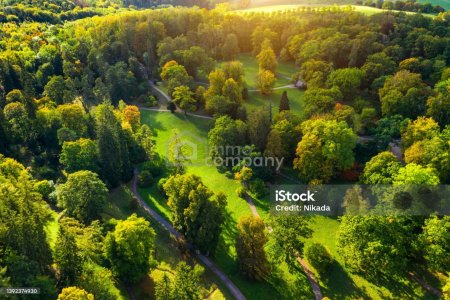 Baugrundstück mit bestehendem Keller am Ortsrand von Pinggau