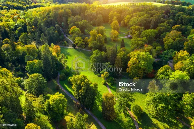 Baugrundstück mit bestehendem Keller am Ortsrand von Pinggau - Bild