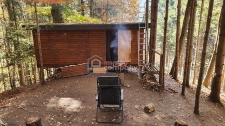 Baugrundstück mit bestehendem Keller am Ortsrand von Pinggau