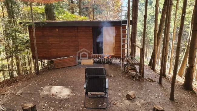 Baugrundstück mit bestehendem Keller am Ortsrand von Pinggau - Bild