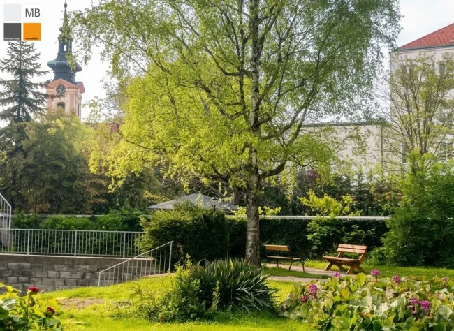 Gemeinschaftsgarten 1