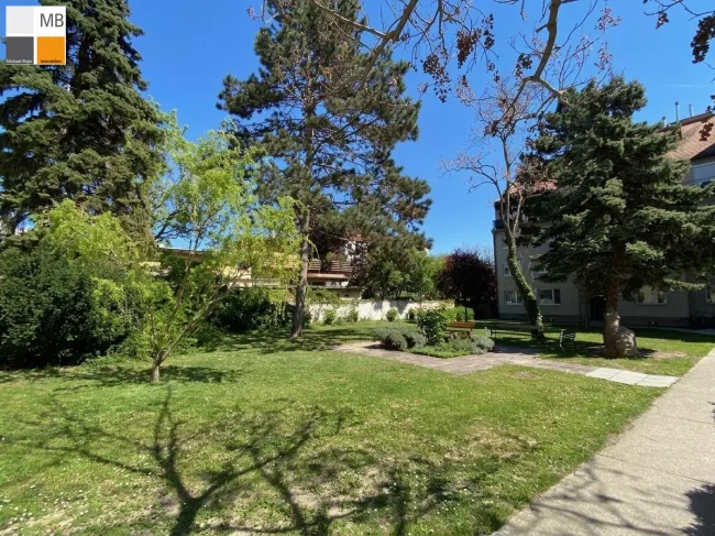 Gemeinschaftsgarten 2