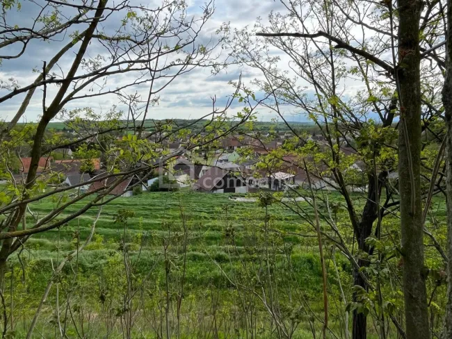 Verborgener Schatz im Reintal - ein Weinviertler Wohnjuwel mit Potenzial - Titelbild