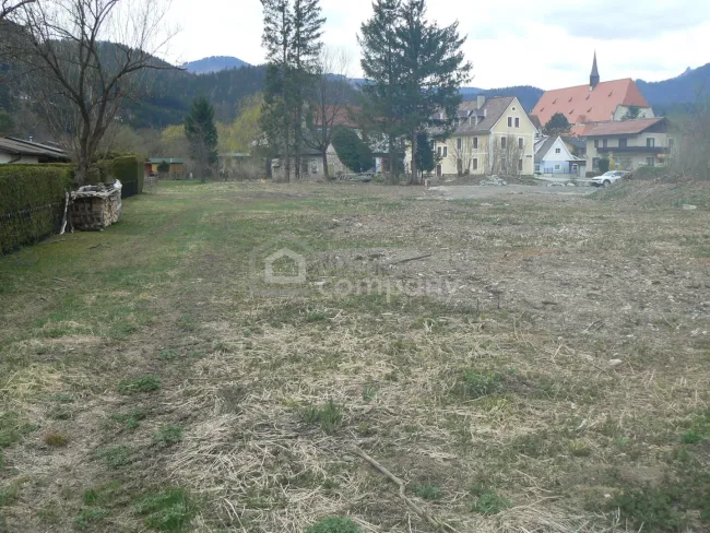 Traumhaftes Baugrundstück in Neuberg an der Mürz: 4701m² mit herrlichem Grünblick! - Bild