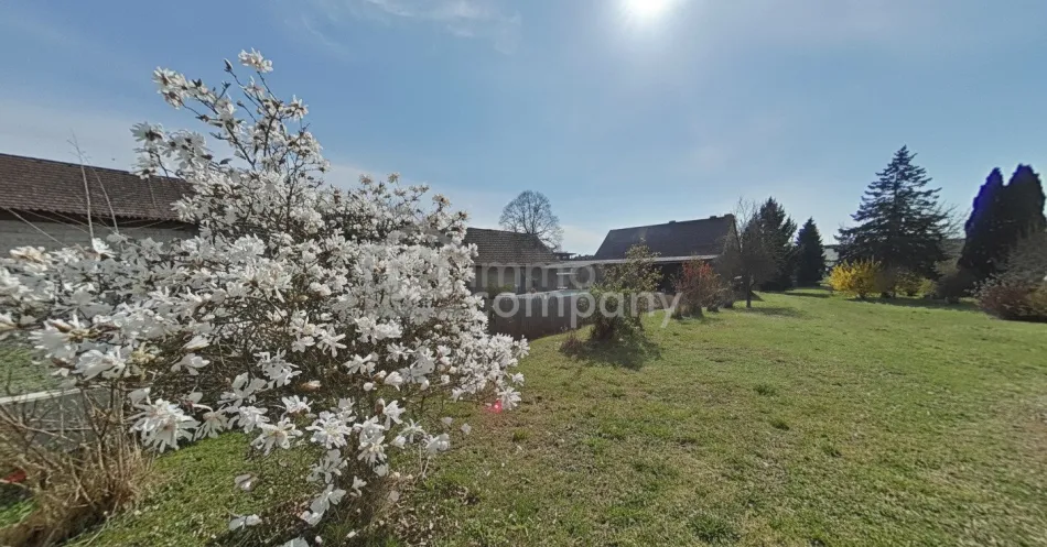 Schönes Stadthaus mit riesigem Garten in Jennersdorf - Titelbild
