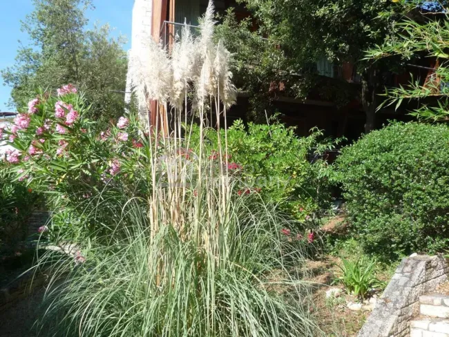 Zugang vom Südgarten
