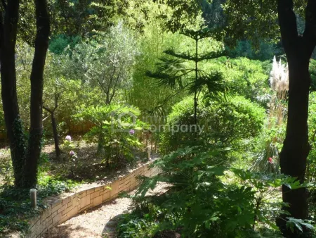 Südgarten