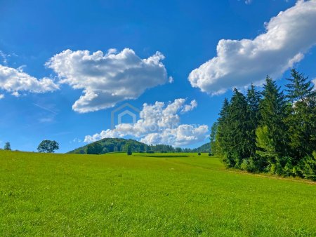 Gemütliches kleines Landhaus für Singles oder Paare – ein Paradies im Grünen – Landhaus mit PV-Anlage nahe Wien