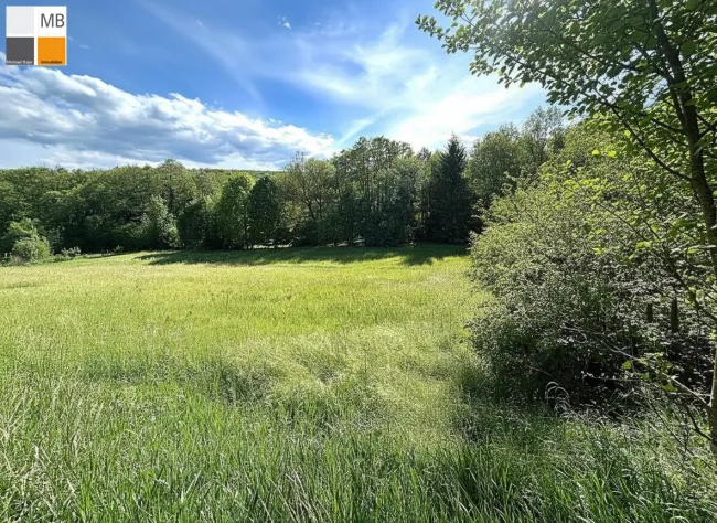 Ebener Grund
