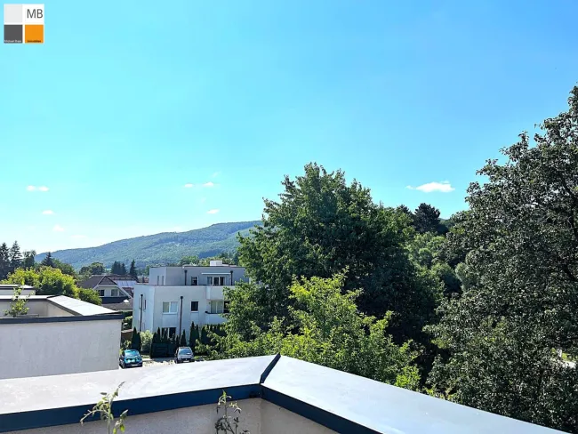 Ausblick