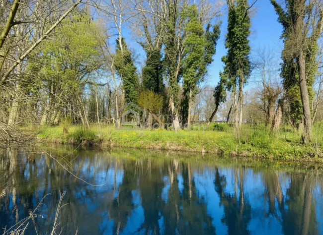 Viel Raum im Paradies - Bild