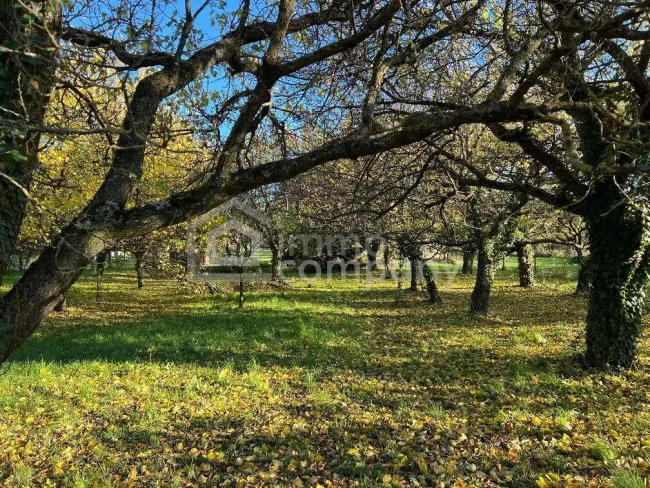 Baugrund Schlosspark - Titelbild