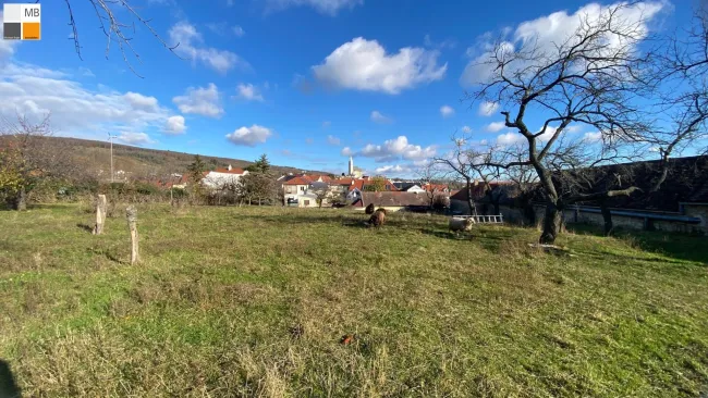 Blick über Eisenstadt