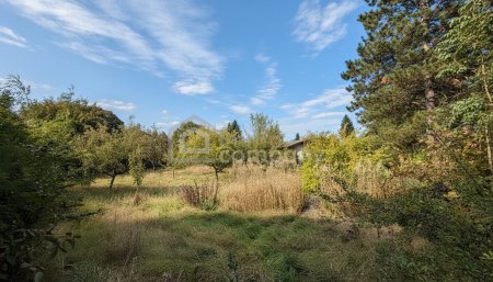 🌿 Wunderschönes Grundstück in bester Lage – vielseitig bebaubar mit zwei Wohneinheiten