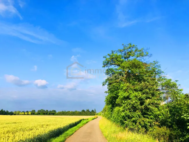 Landwirtschaftliche Nutzfläche - Titelbild