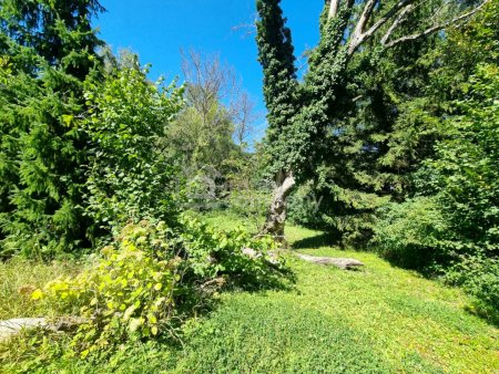 BAUGRUNSTÜCK in RUHELAGE mit Altbestand vor den Toren Wiens. Bauträger aufgepasst! 1.000 m² bebaubare Fläche