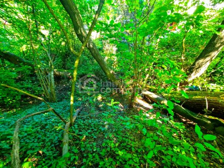 BAUGRUNSTÜCK in RUHELAGE mit Altbestand vor den Toren Wiens. Bauträger aufgepasst! 1.000 m² bebaubare Fläche