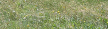 Sonniges Grundstück in ruhiger Lage